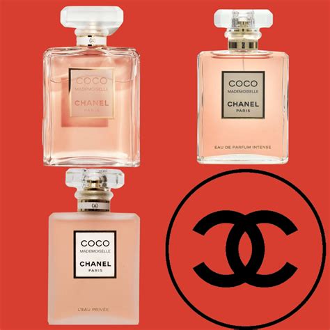 perfume like chanel no 19|coco chanel perfume smells like.